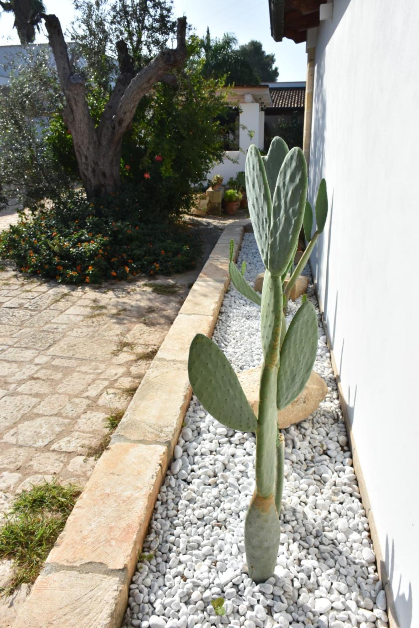 Masseria Tenuta Flora Maria Leverano Zewnętrze zdjęcie